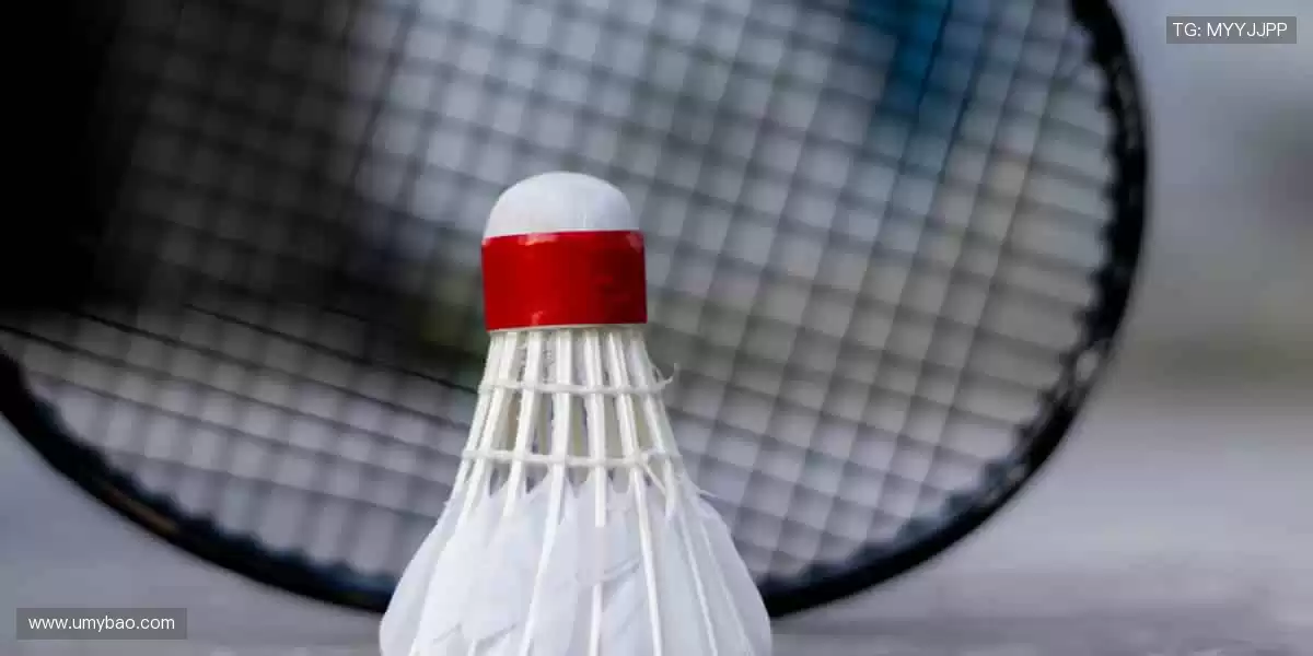 🎁 限量版周边，用细节诠释你对体育的极致热爱！🎲